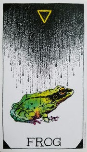  [오라클카드배우기/와일드언노운애니멀스피릿]The Wild Unknown Animal Spirit Frog 개구리 해석 및 의미