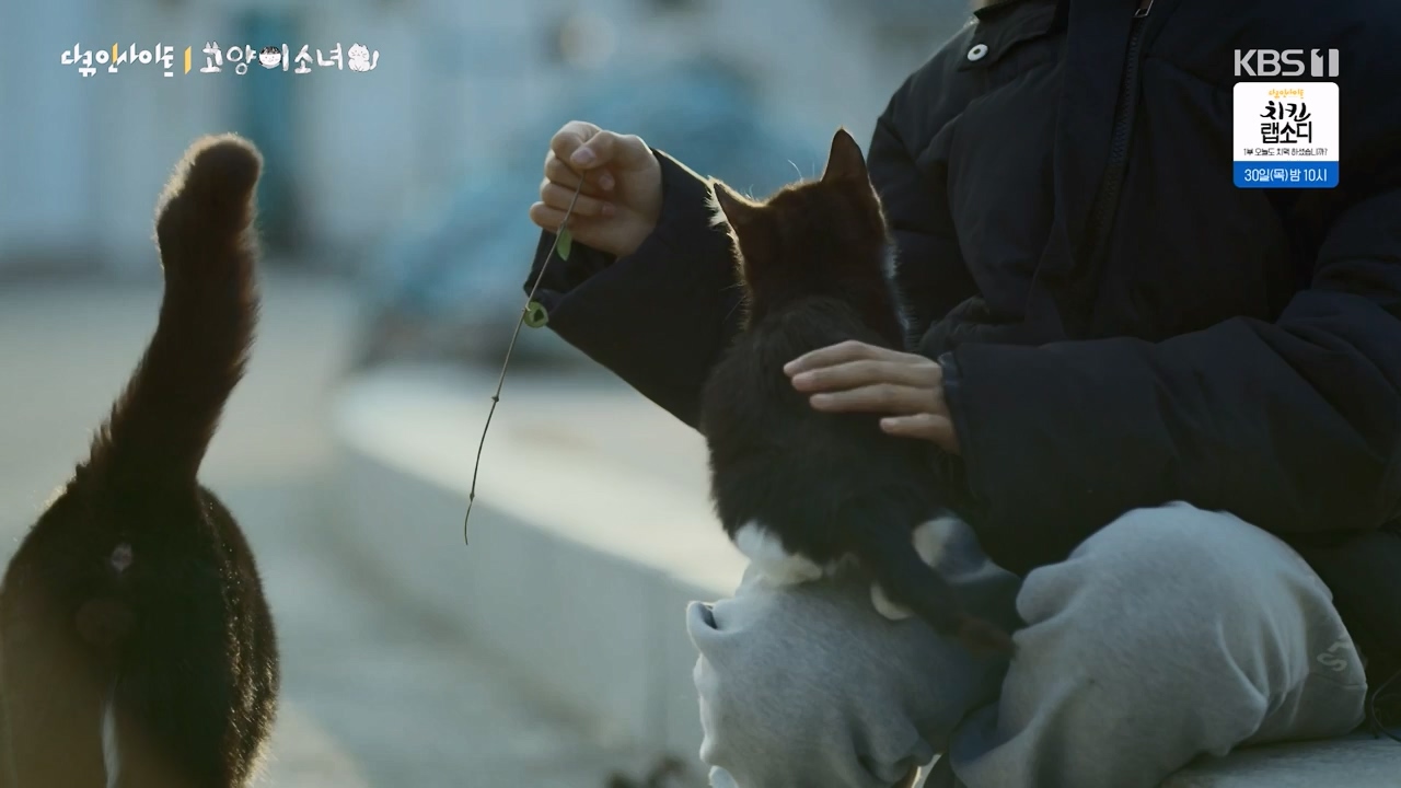 다큐 인사이트.E189.240524p-NEXT.mp4_20240524_205100.234.jpg