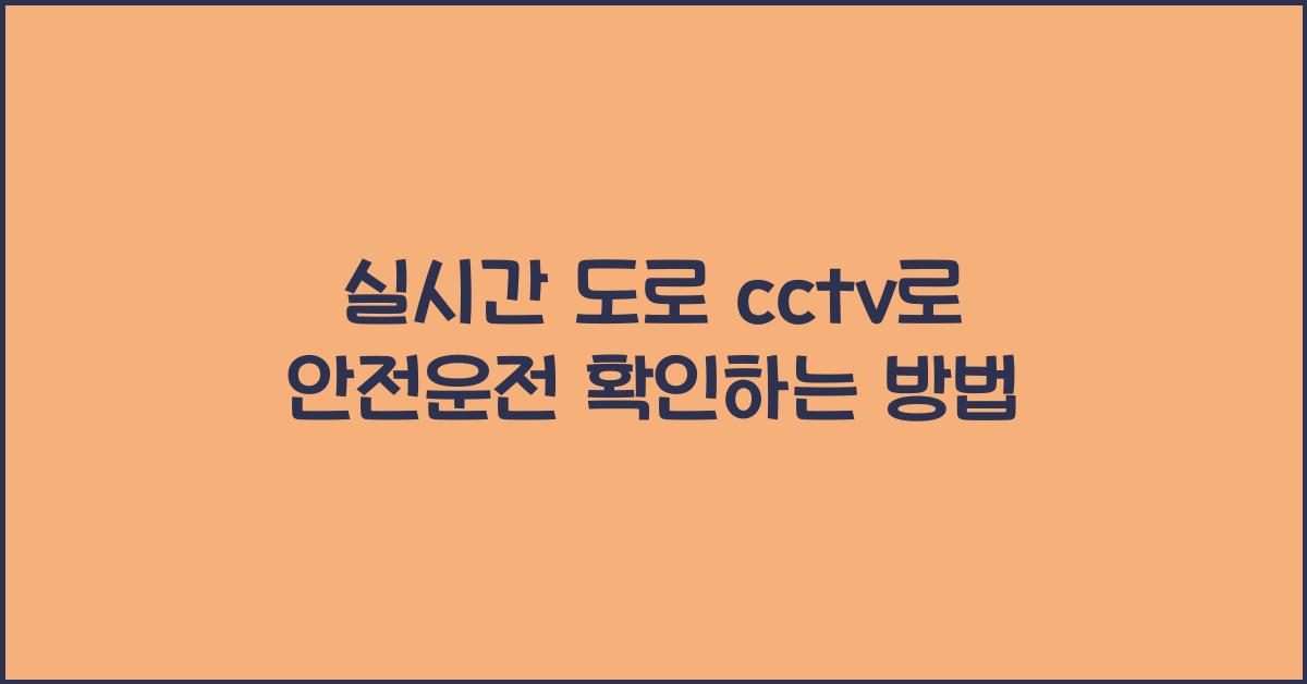 실시간 도로 cctv