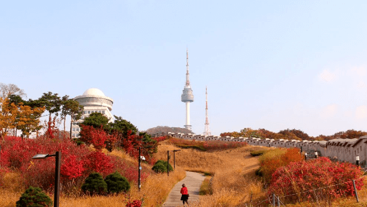 단풍 여행하기 좋은곳 - 남산서울타워