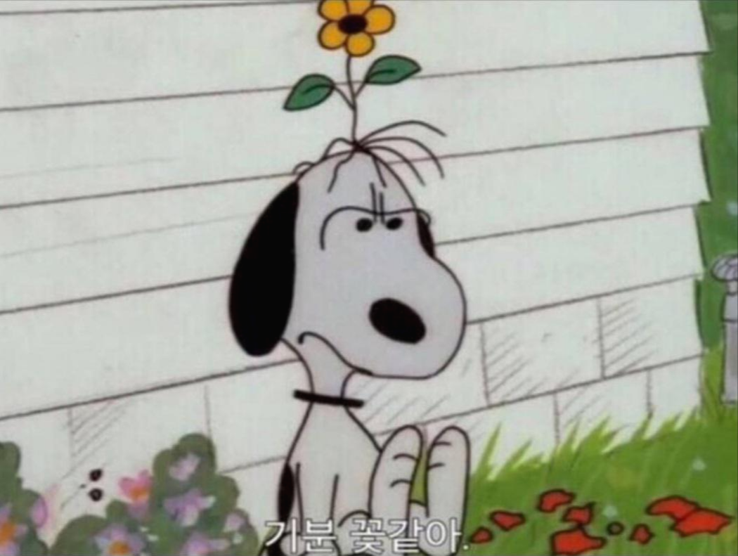  블로그 글을 도용 당했어요!
