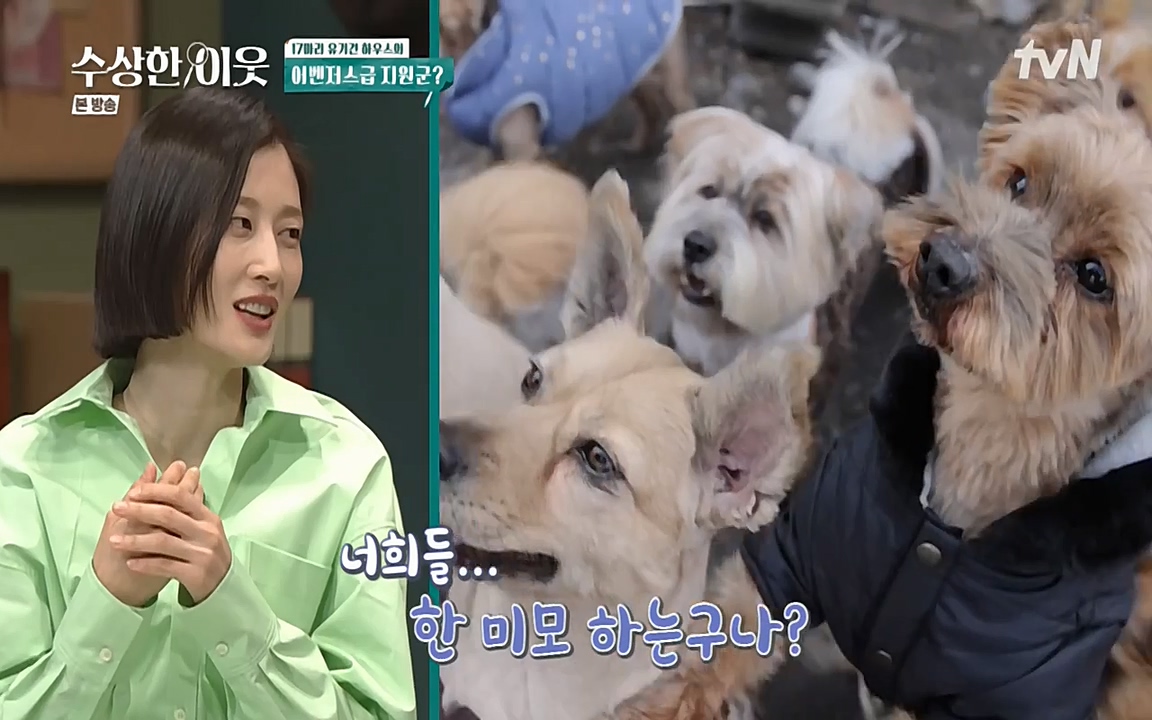 수상한 이웃.E04.220422p-NEXT.mp4_20220424_193300.827.jpg