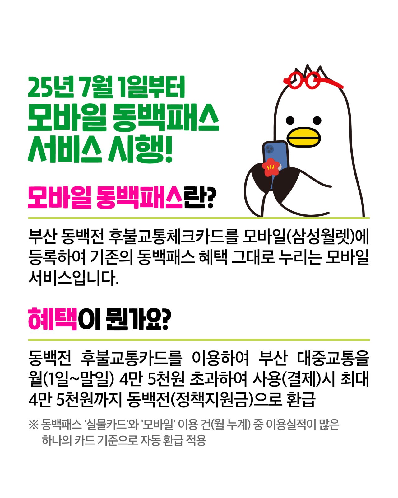 동백패스 기본설명
