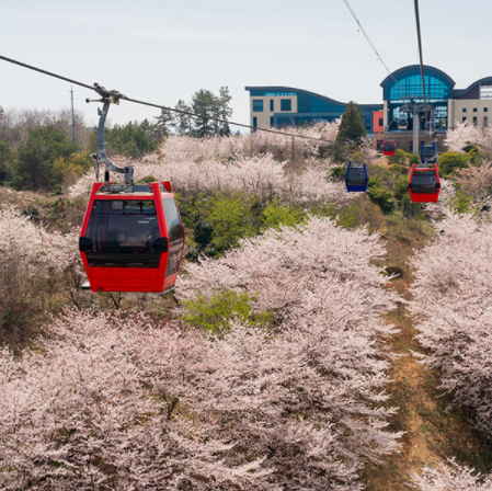 여수 해상 케이블카 돌산공원 자산공원 포토존 여행지