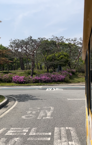 단풍나무숲길 모노레일