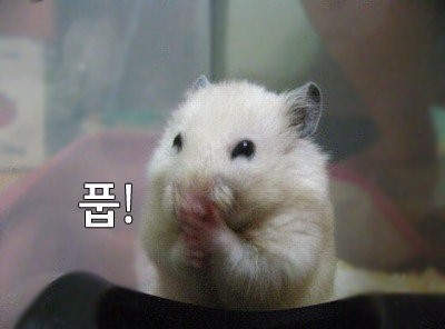  물은 셀프입니다를 영어로 하면?