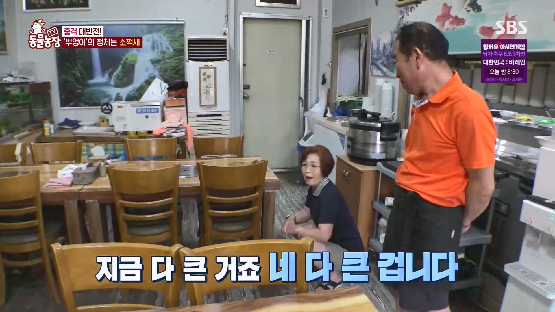 TV 동물농장.E1139.230924p.H264-F1RST.mp4_20230924_170646.093.jpg