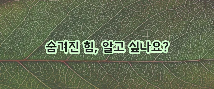글루타치온 효능, 정말 놀랍습니다!
