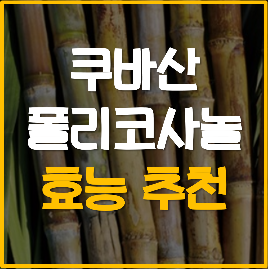  쿠바산 폴리코사놀 효능 추천