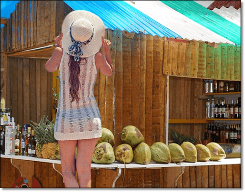 코코넛워터 판매점