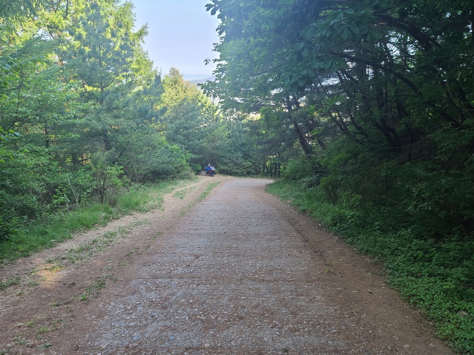 흑약 100대 지리산 바라봉 최단 등산코스 21