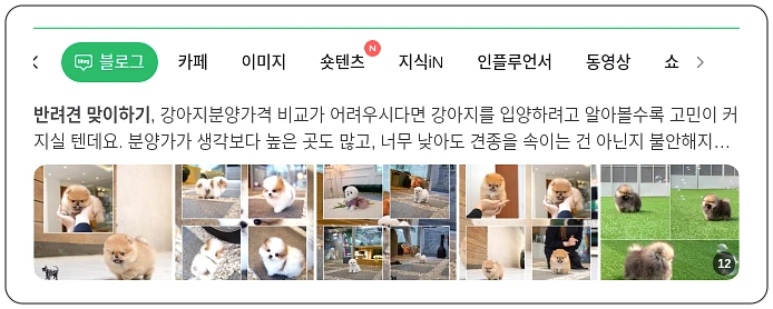 반려견 맞이하기_1_subsection