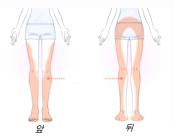  계속 앉아 있는 여성은 요주의! 좌골신경통에 걸리지 않는 의자 앉는 법
