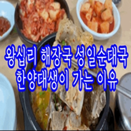  왕십리 해장국 성일순대국 한양대생이 가는 이유