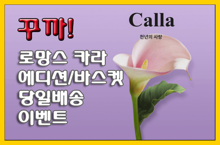  [꾸가 할인코드] 10월의 탄생화! 로망스 카라 에디션/바스켓 당일배송 이벤트