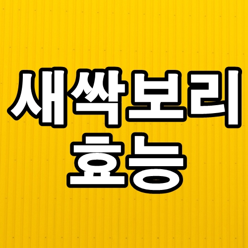  새싹보리 효능 부작용