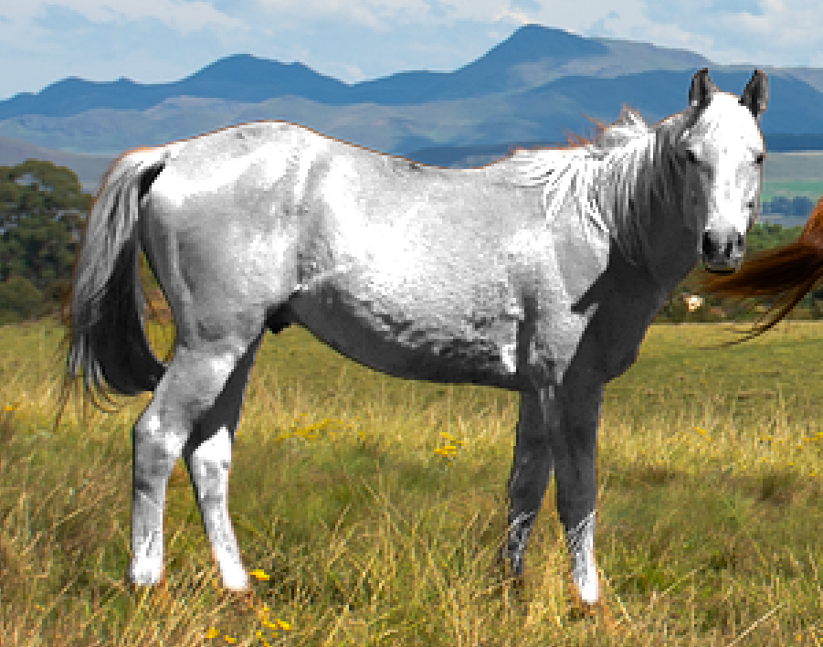 Object Selection Tool 특징 1