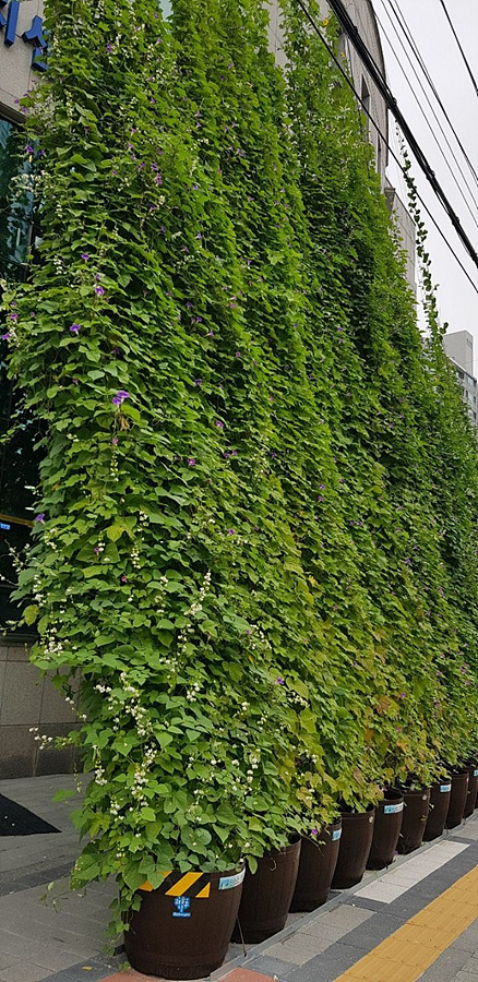 kbs1tv 다큐온 KBS1TV // 회천3동 생태그늘막 22