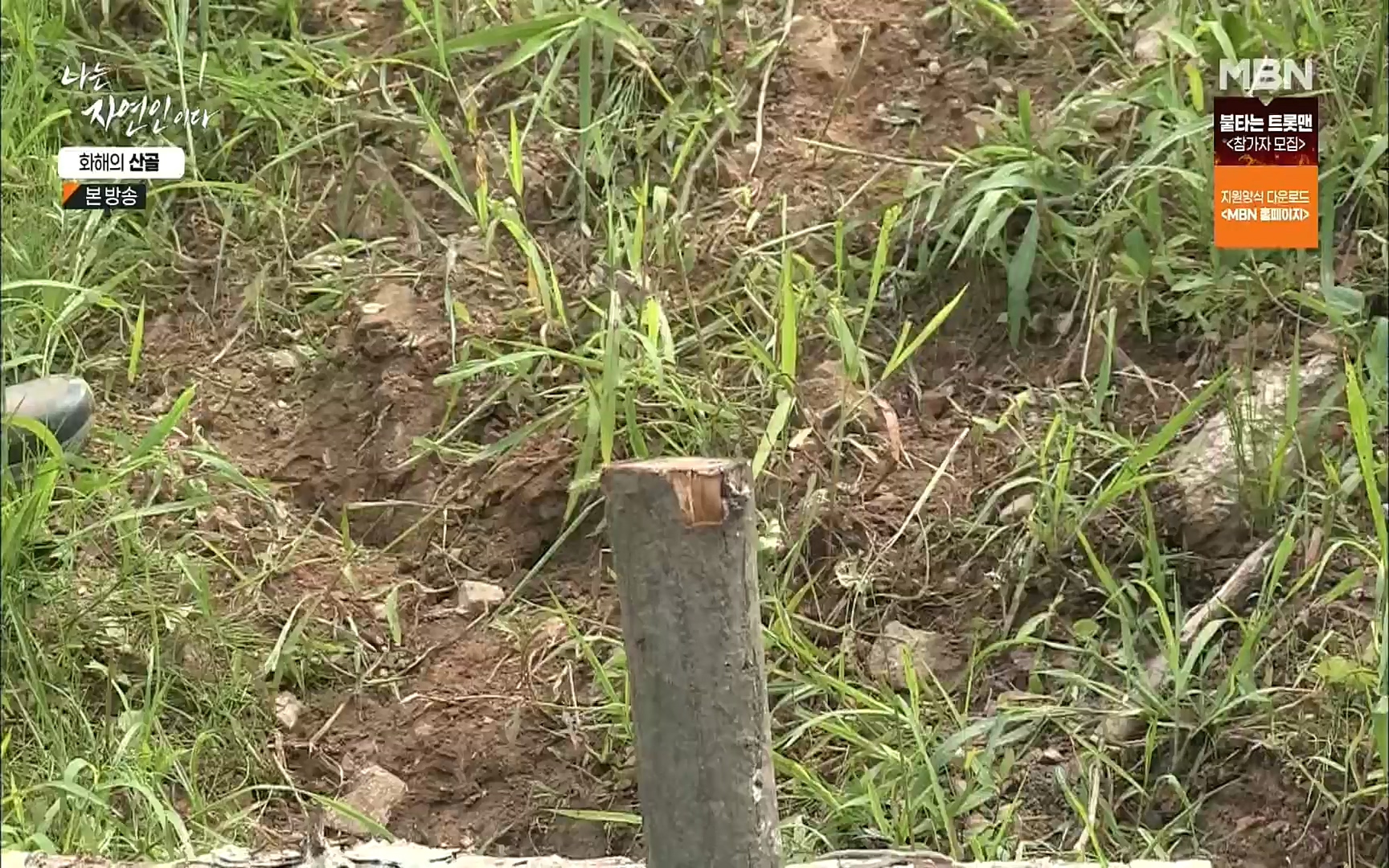 나는 자연인이다.E515.220817p.H264-F1RST.mp4_20220818_201926.342.jpg