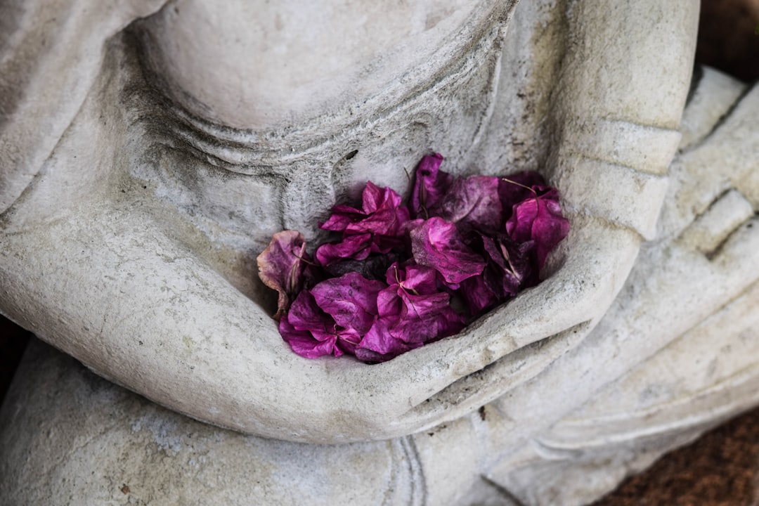 Meditation