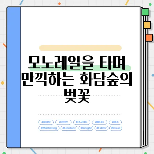 모노레일을 타며 만끽하는 화담숲의 벚꽃, 예약 꿀팁을 알아보세요!