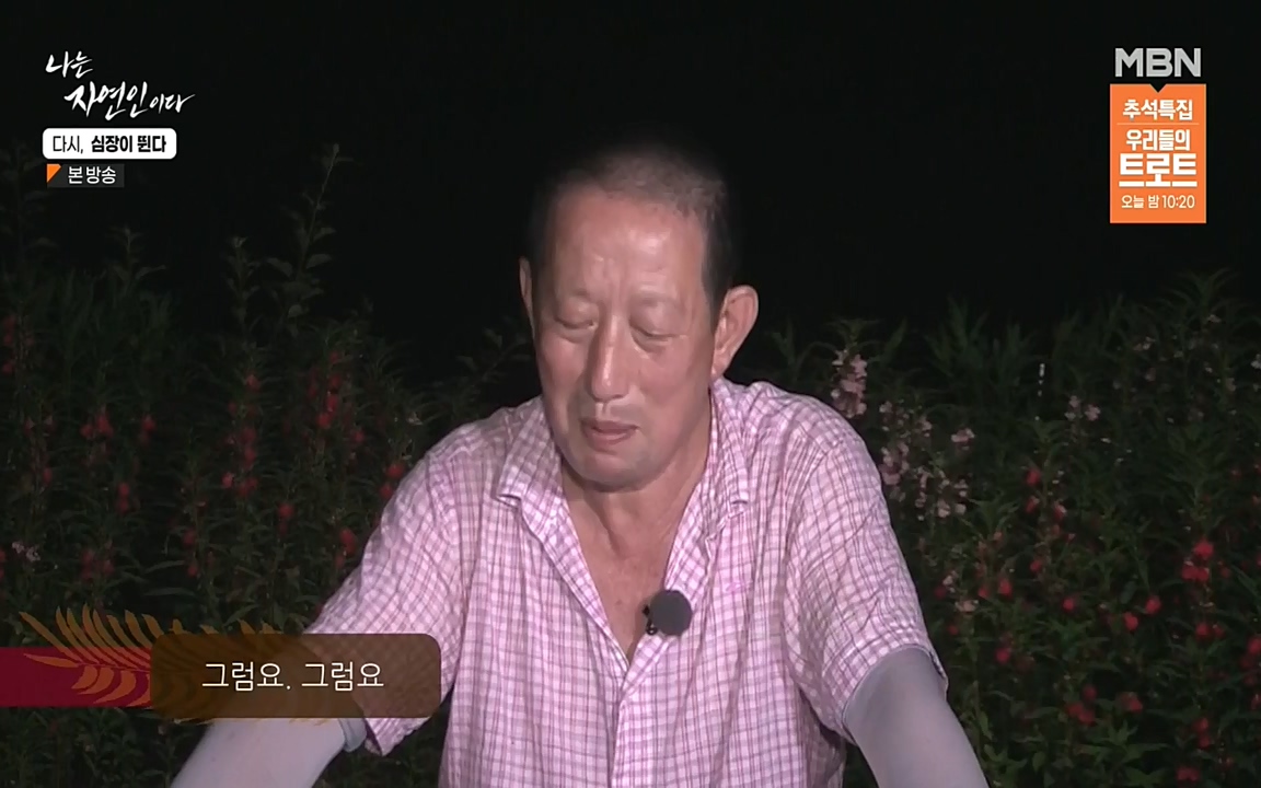 나는 자연인이다.E519.220915p-NEXT.mp4_20220915_201149.387.jpg