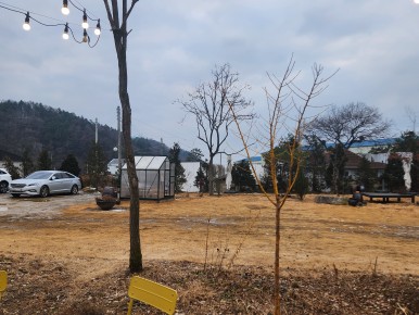 몽트커피