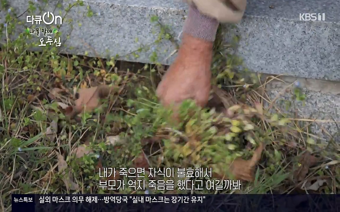 다큐 온.E138.220507p-NEXT.mp4_20220507_182559.087.jpg