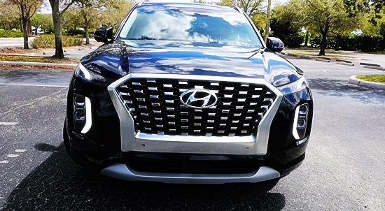 팰리세이드7인승 8