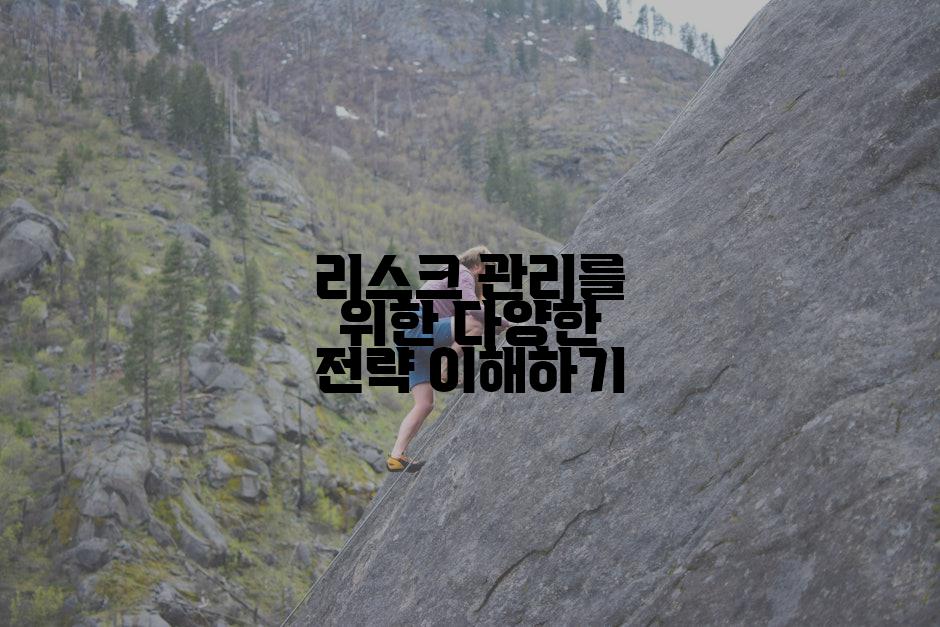 리스크 관리를 위한 다양한 전략 이해하기