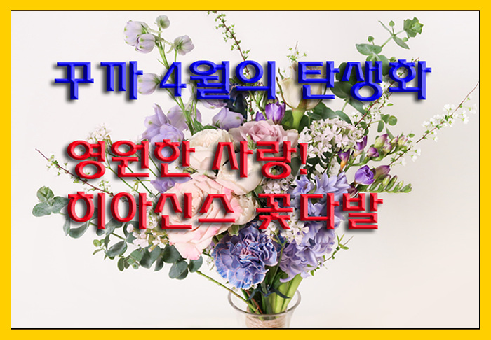  [꾸까할인코드] 4월의 탄생화! 영원한 사랑 히아신스 꽃다발로 사랑을 전하세요