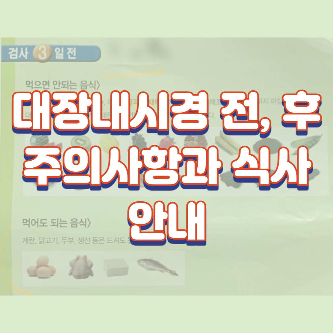  대장내시경 전, 후 주의사항과 식사 안내