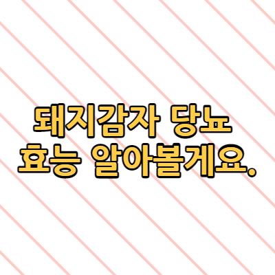  돼지감자 효능 당뇨에 좋은가요?  알아볼게요.