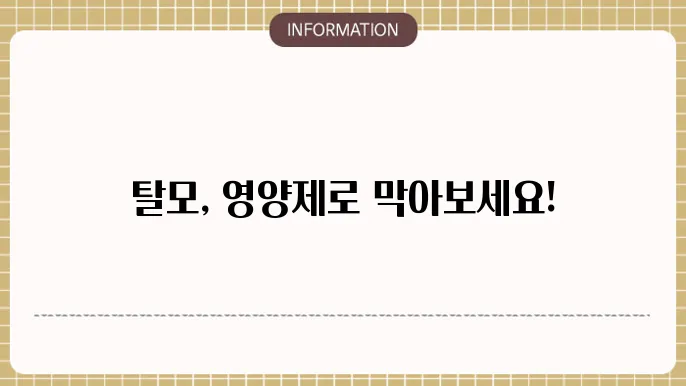 머리 탈모 영양제 추천