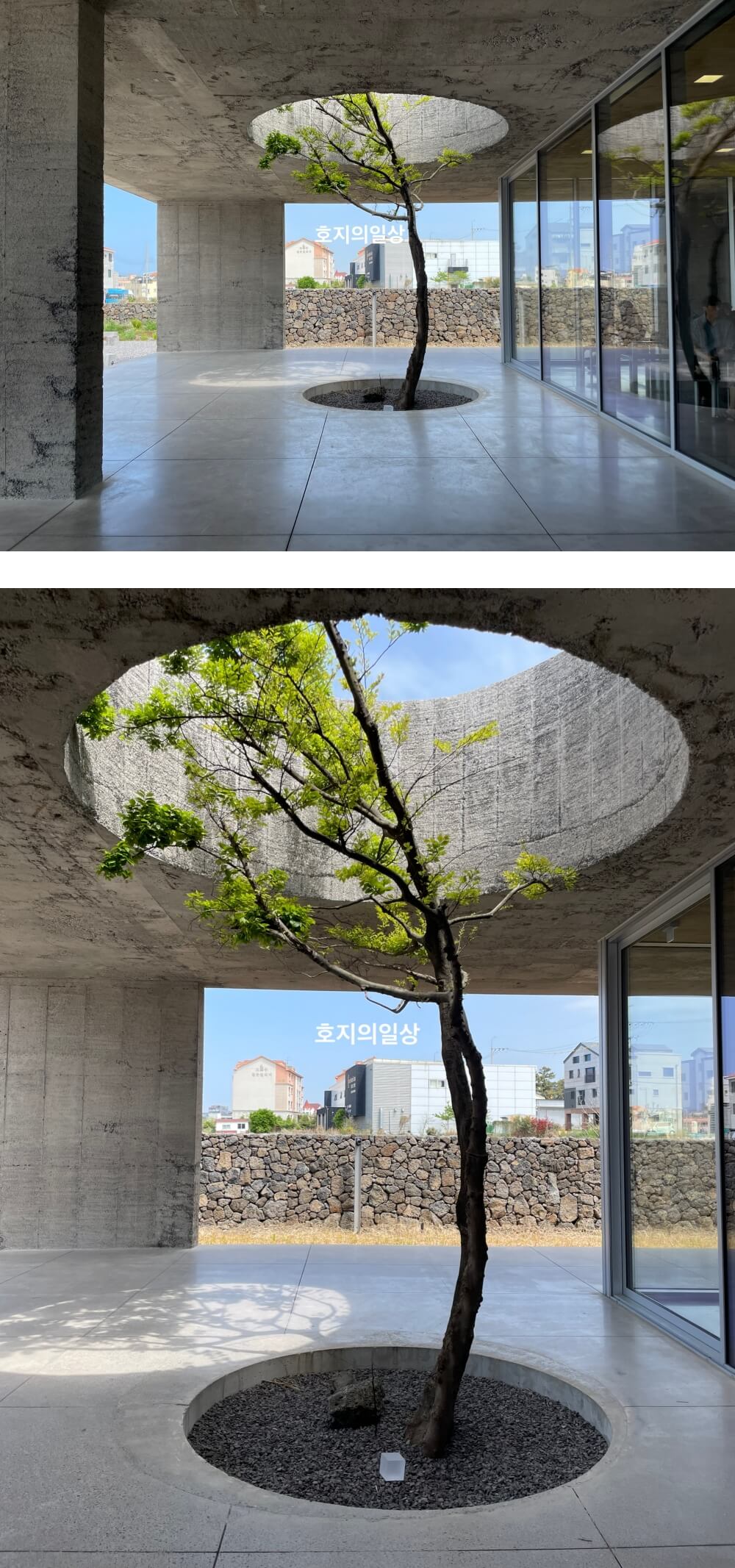 제주 카페&#44;진정성 종점 - 건물 인테리어 나무