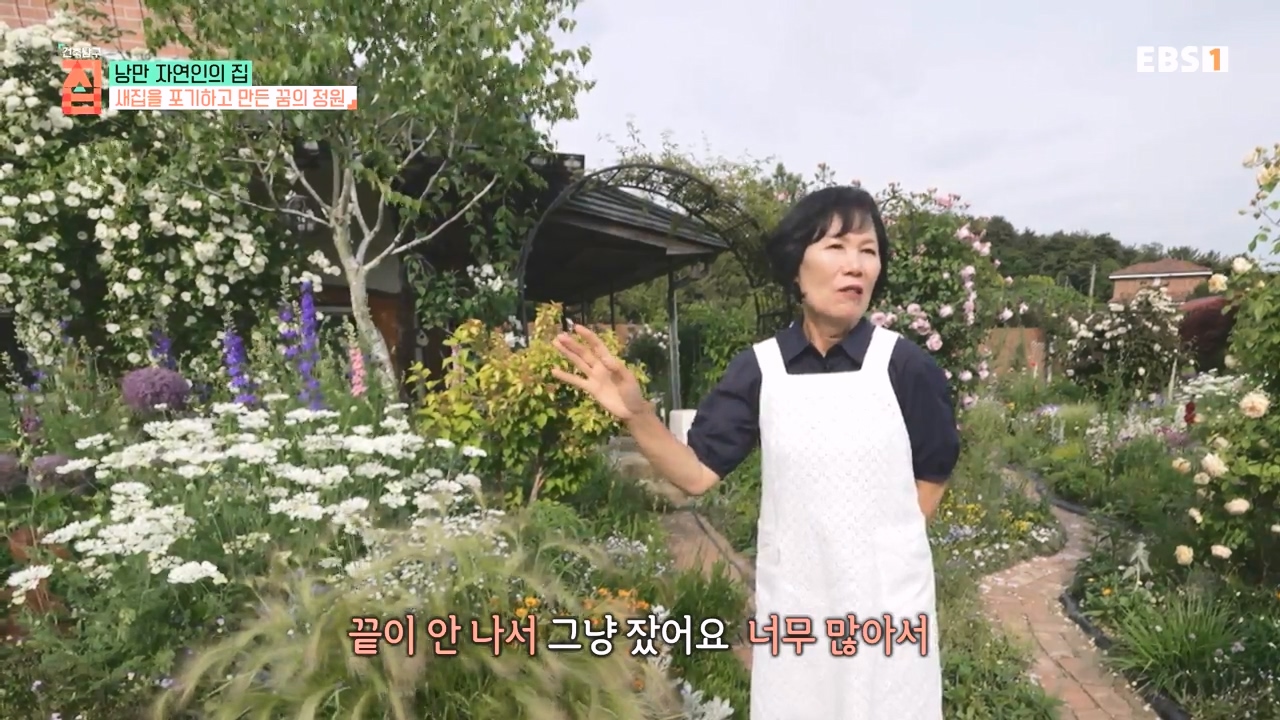 TV - 전 국민의 평생학교 EBS낭만자연인의 집.mp4_20230823_203809.733.jpg