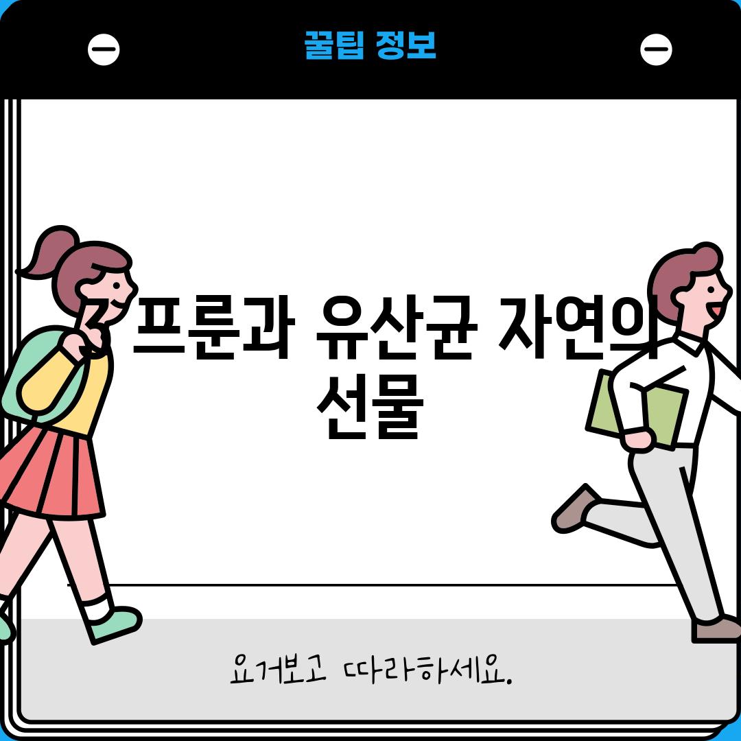 3. 프룬과 유산균: 자연의 선물