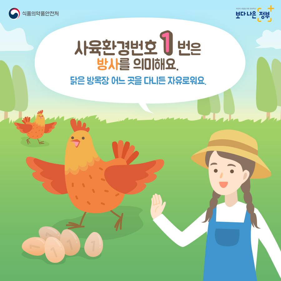 계란 삶는법 백종원 계란 삶는 시간 테스트 계란 삶는법 백종원 계란 삶는 시간 테스트