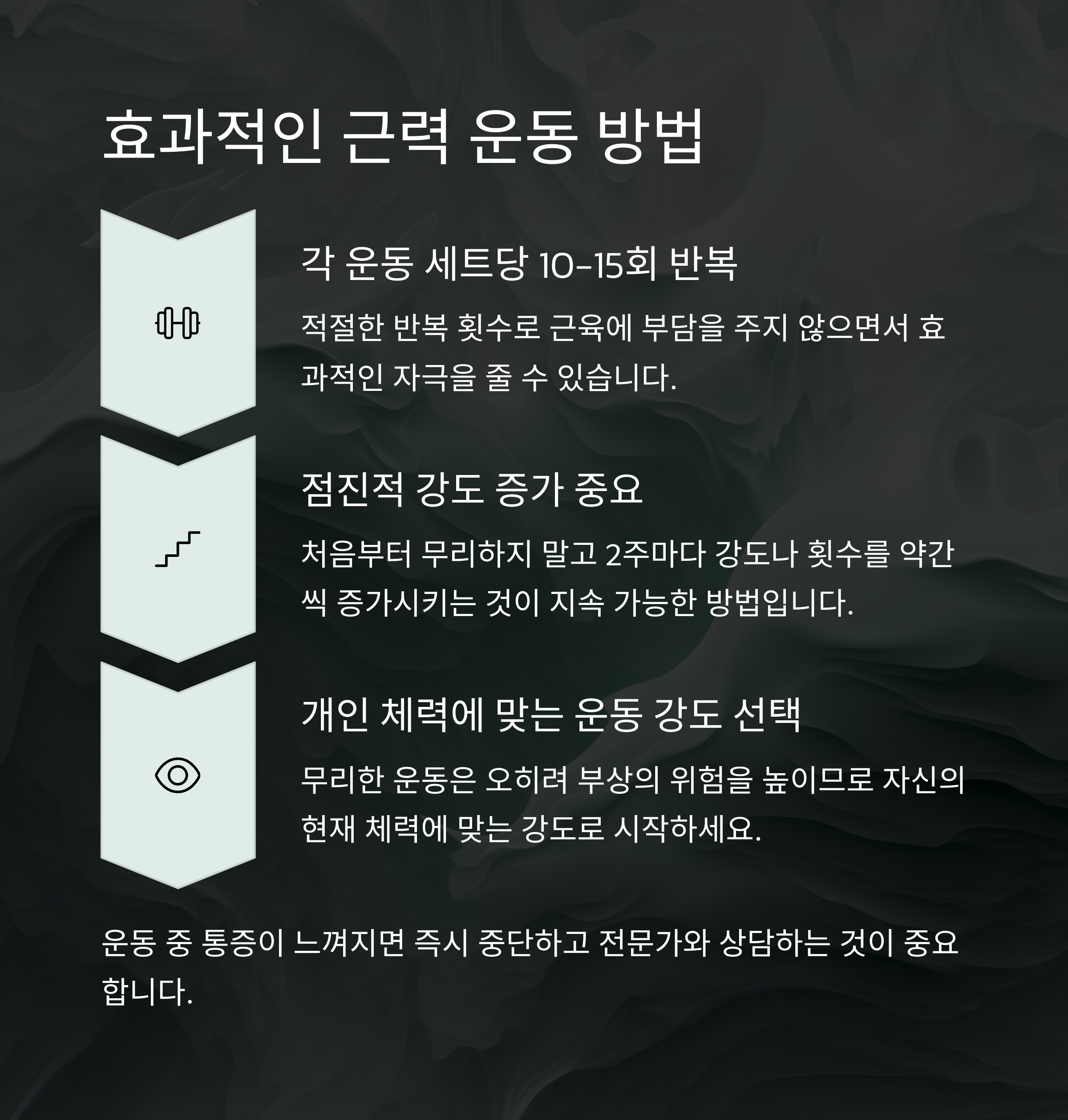 50대 근육 운동 가이드