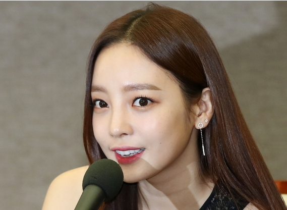 양띠