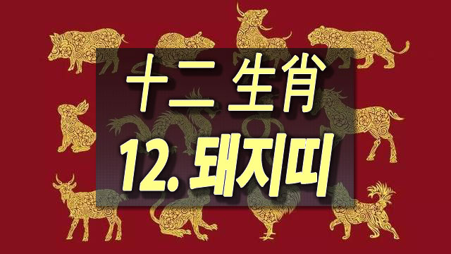  [평생 운세] "태어난 연도"별 운명 - 12. 돼지띠