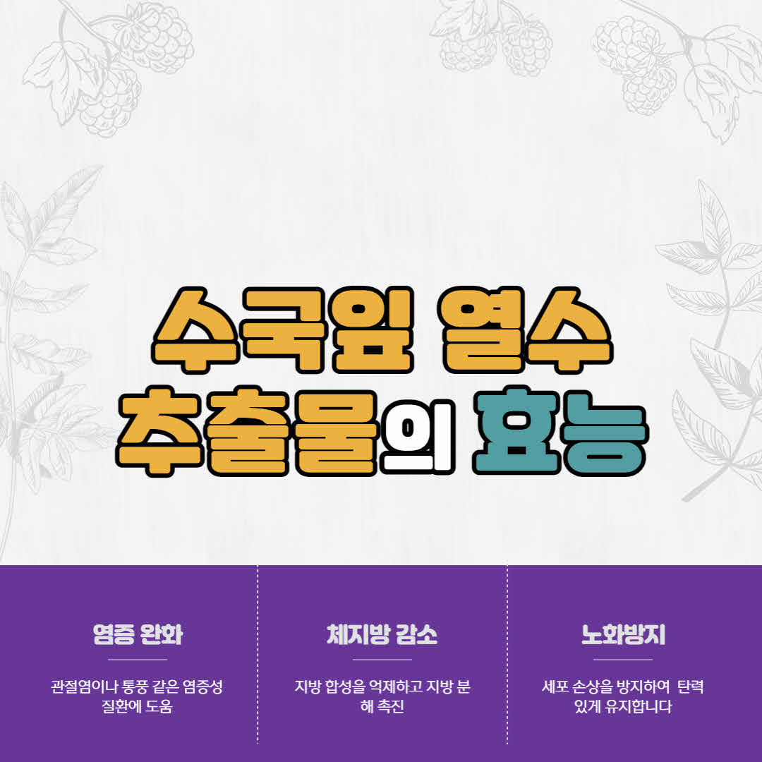  수국잎 열수 추출물 효능과 부작용, 건강과 미용에 좋은 이유?