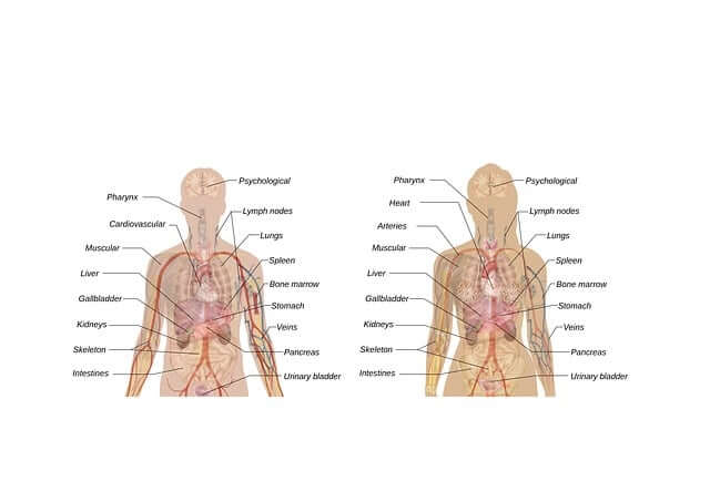 결핵의 원인과 증상 검사 방법과 전염성과 치료방법