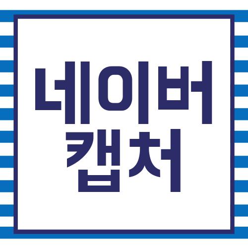 네이버 캡처