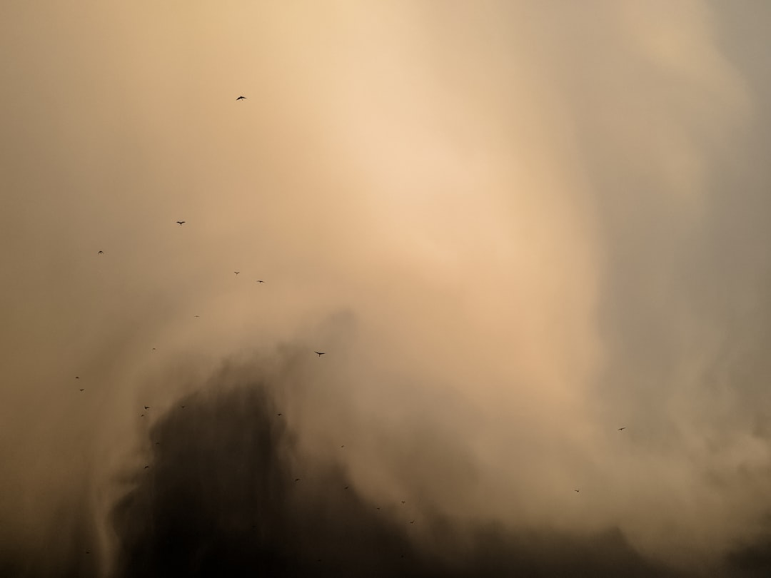 Dust.