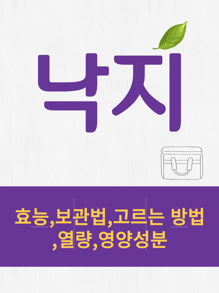  낙지 효능 및 열량과 보관법 칼로리 총정리 