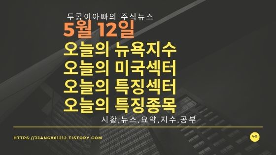  [22년 05월 12일]다우지수와 세계증시와 특징종목