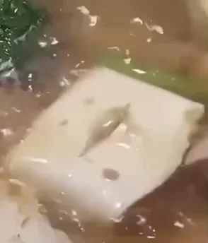  두부(Tofu) 영양 가치와 건강 효과!! 식물성 단백질,  칼슘,  철분 함유