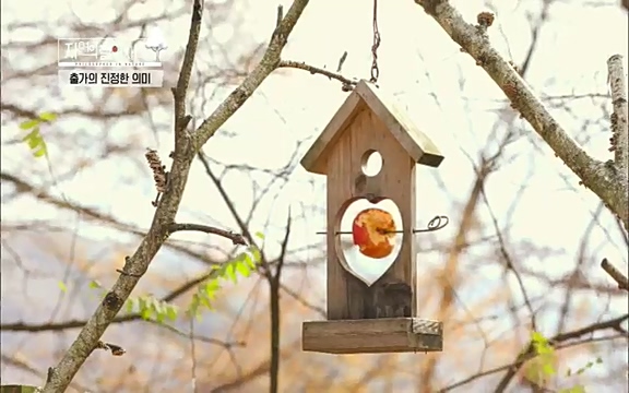 [3회] 자연의 철학자들 - KBS새처럼 살고 싶어라] 자연이라는 위대한 법당에서 숲의 울림, 새들의 소리를 들으며 깨달음을 얻은 도연 스님.ts_20220320_153323.550.jpg