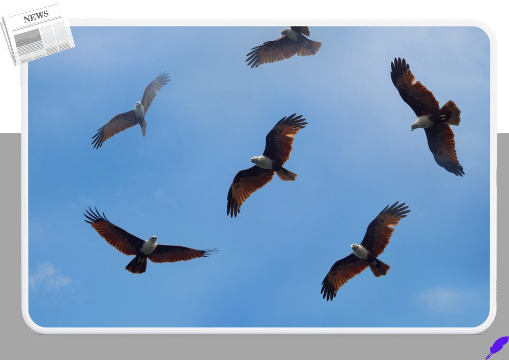 티베트 불교의 천장(天葬, Sky Burial)은 세계에서 가장 극단적인 장례 방식 중 하나다